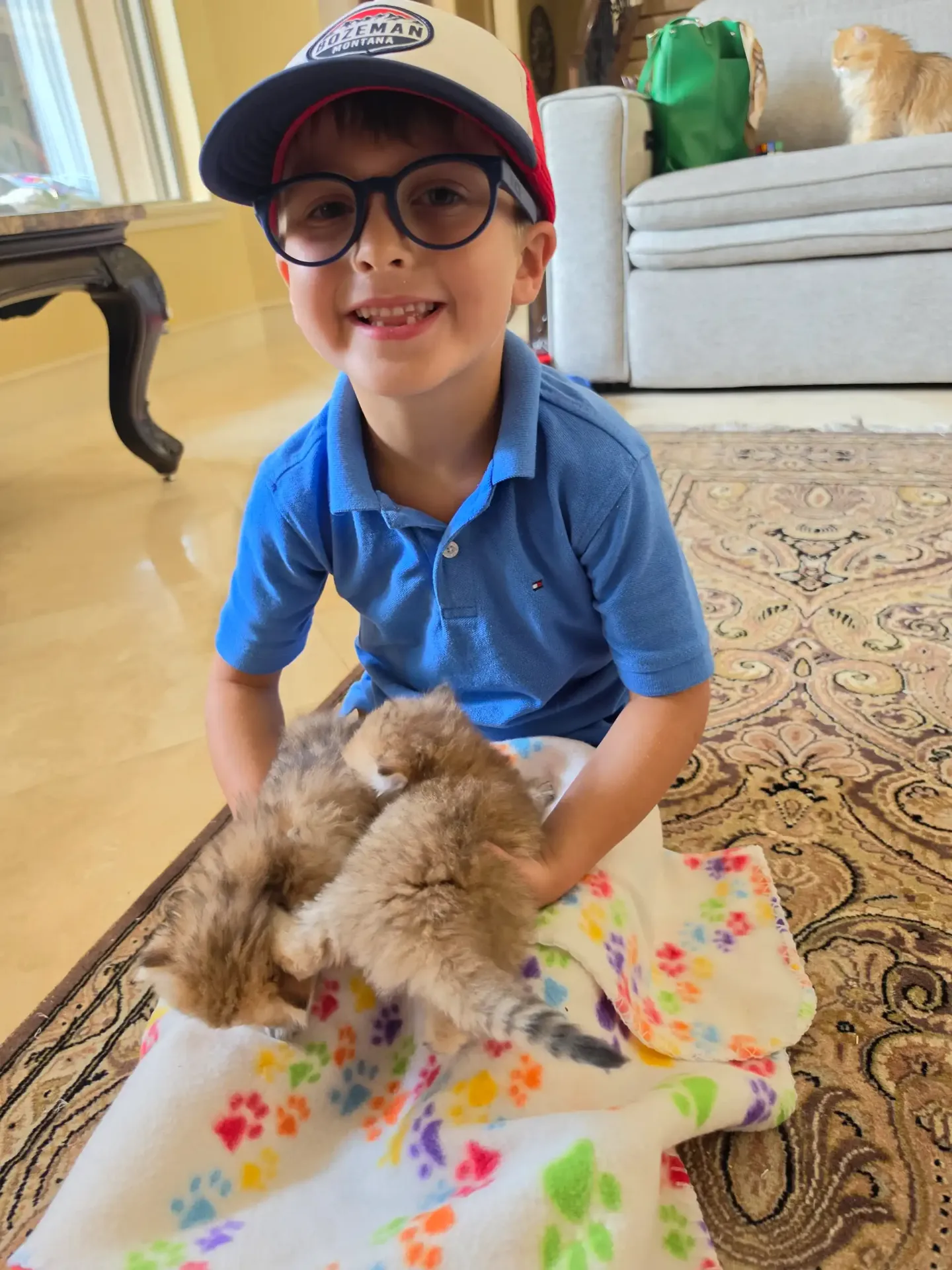 Smiling boy holding two fluffy Persian kittens on a paw-print blanket